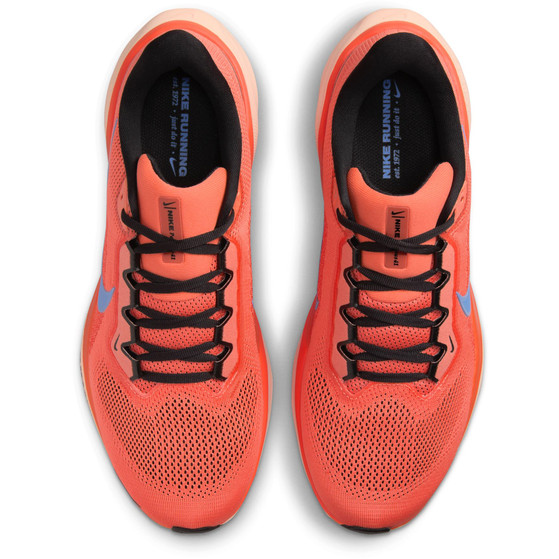 Nike Pegasus 41 Herren