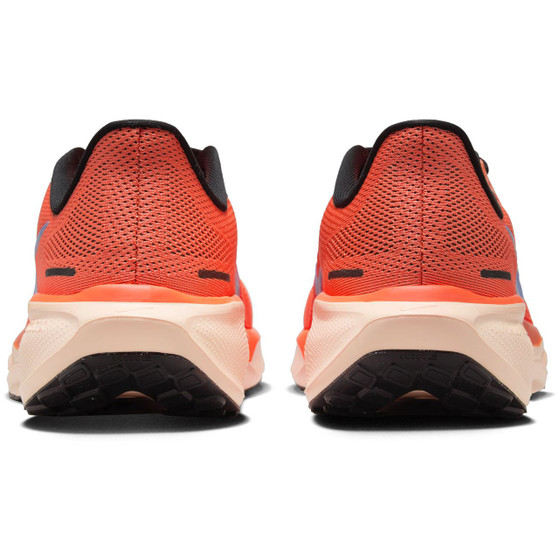 Nike Pegasus 41 Herren
