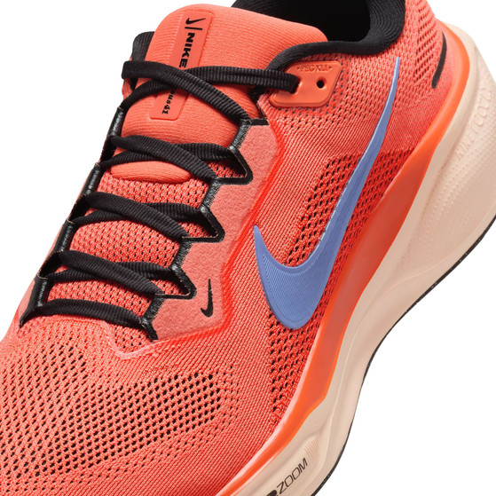 Nike Pegasus 41 Herren