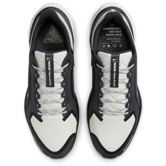 Nike Pegasus 41 GTX Heren