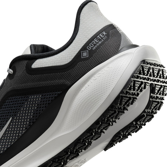 Nike Pegasus 41 GTX Heren