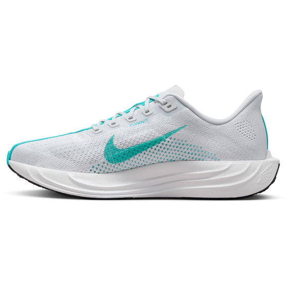 Nike Pegasus Plus Heren
