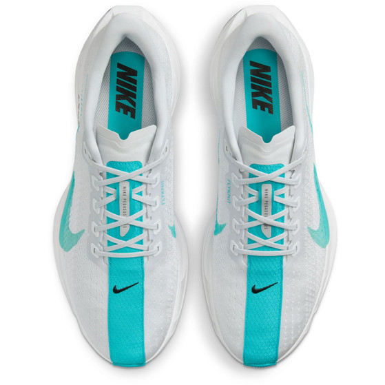 Nike Pegasus Plus Heren