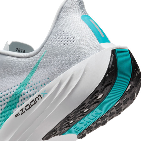 Nike Pegasus Plus Heren