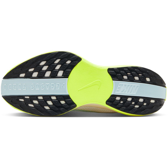 Nike Pegasus Plus Heren