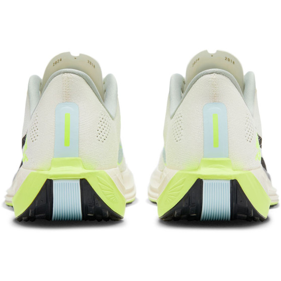 Nike Pegasus Plus Heren