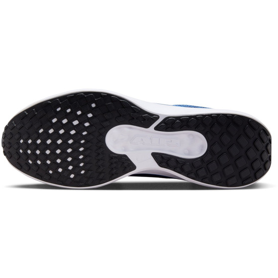 Nike Winflo 11 Herren