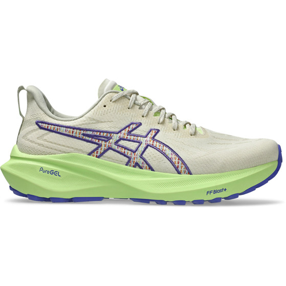 ASICS GT-2000 13 TR Herr