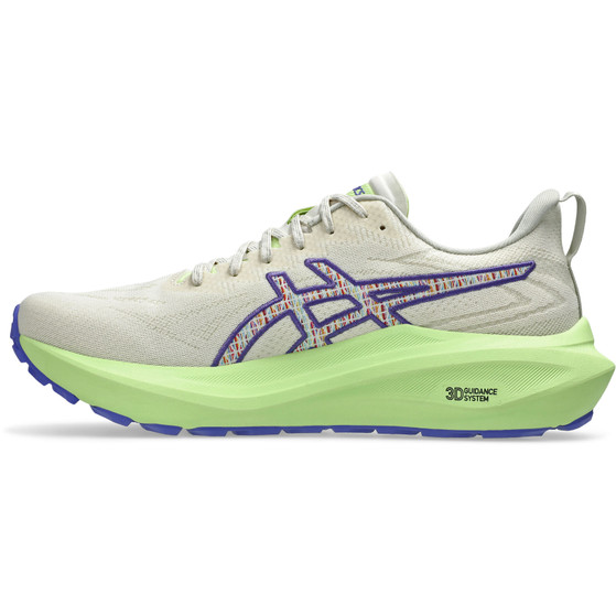 ASICS GT-2000 13 TR Herr