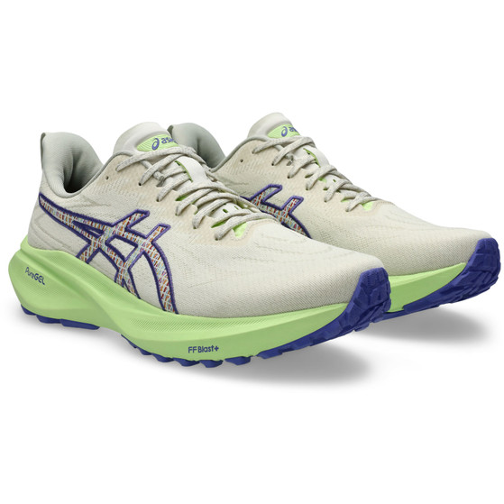 ASICS GT-2000 13 TR Herr