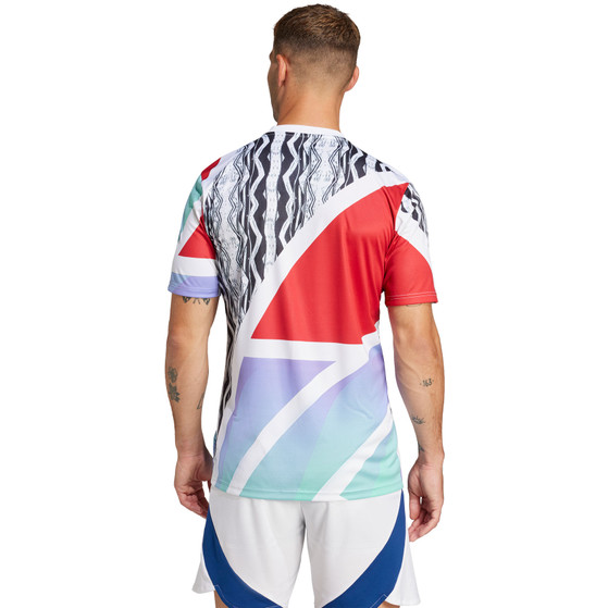 adidas Arsenal Pre-Match Training Set
