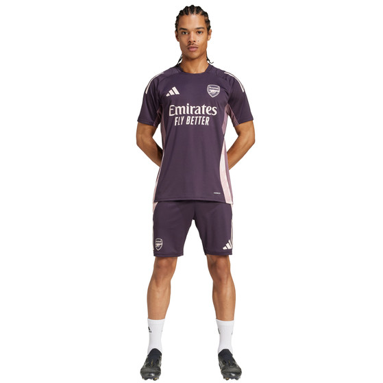 adidas Arsenal Trainingsset
