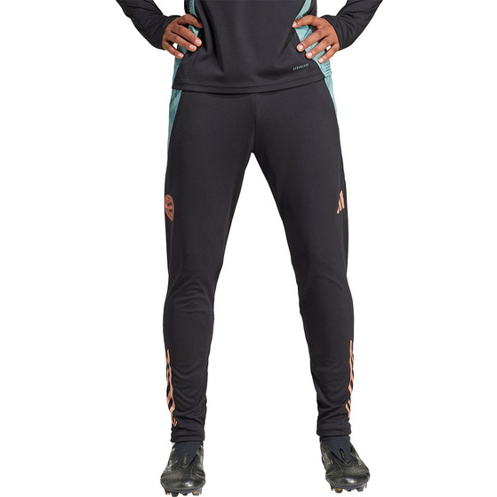 adidas Bayern München Training Pant 2024/2025