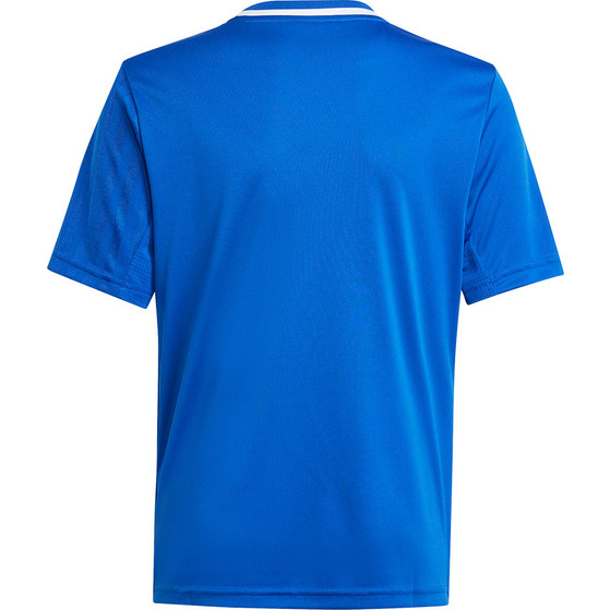 adidas Campeon 25 Trainingsset Kinder