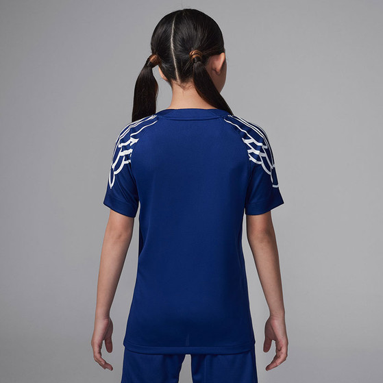 Nike Paris Saint-Germain 4th Outfit Kinder