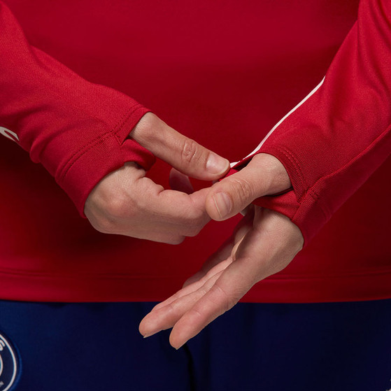 Nike Paris Saint-Germain Strike Crew Top 2024/2025