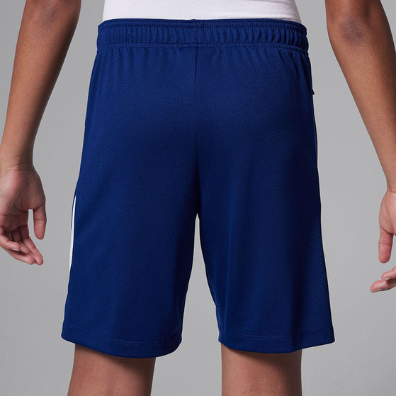 Nike Paris Saint-Germain Strike Short Kids