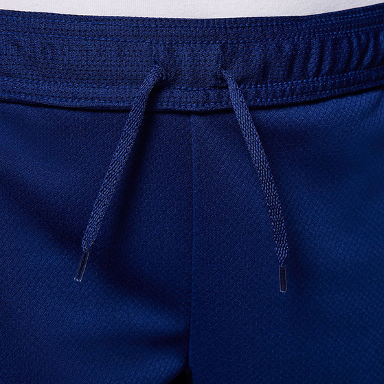Nike Paris Saint-Germain Strike Short Kids