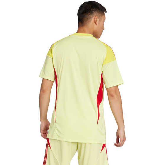adidas Tiro 25 Competition Målvaktsställ
