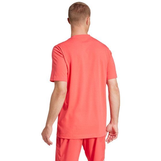 adidas Logo Graphic Tee