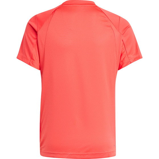 adidas Club Tee Jongens