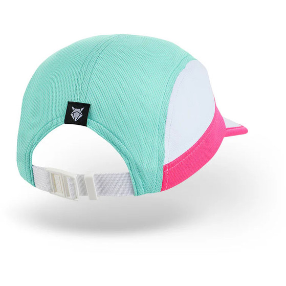 Incylence Running Pet v1