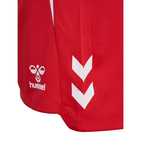 Hummel Lead 2.0 Shorts Dam