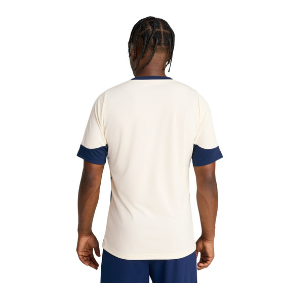 Puma Portugal Training Shirt