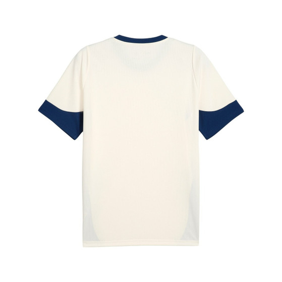 Puma Portugal Training Shirt