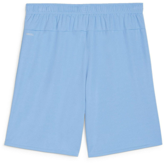 Puma GOAL Training Short