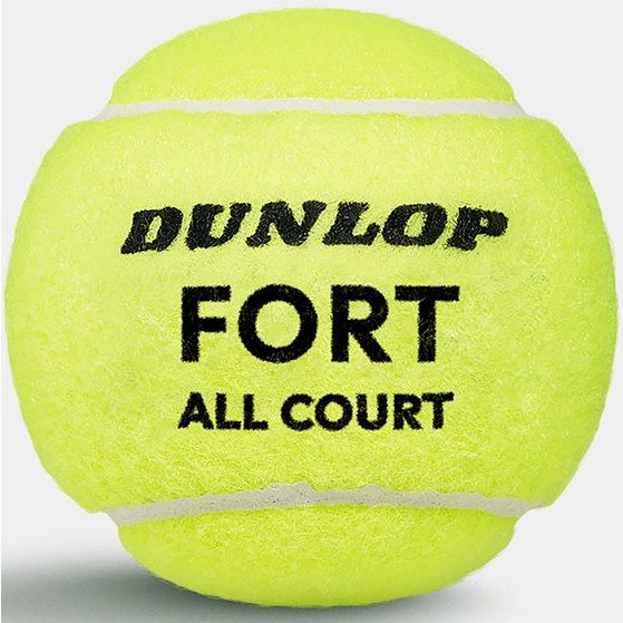 Dunlop Fort All Court TS 3 St.