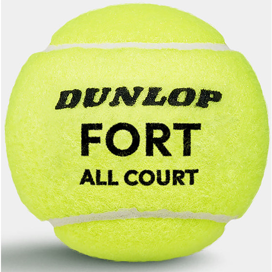 Dunlop Fort All Court TS 4 St.