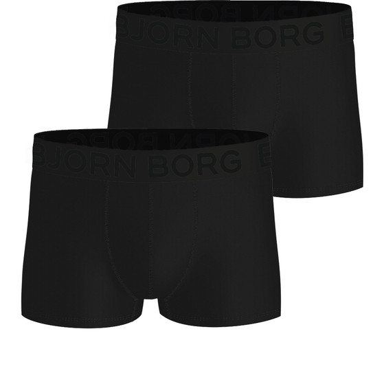 Björn Borg Sports Mesh Trunk 2-Pack Heren