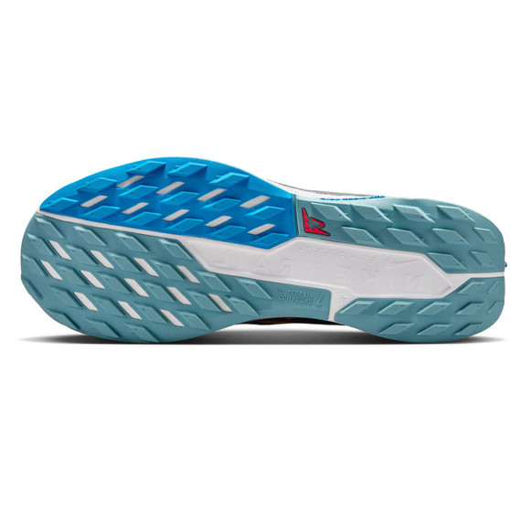 Nike Pegasus Trail 5 Heren