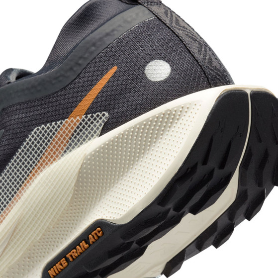 Nike Pegasus Trail 5 GTX Heren