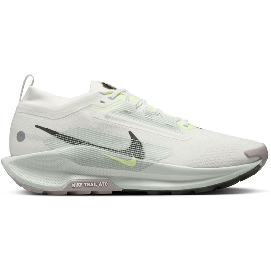 Nike Pegasus Trail 5 GTX Heren