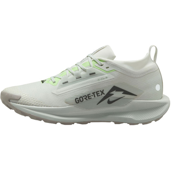 Nike Pegasus Trail 5 GTX Herr