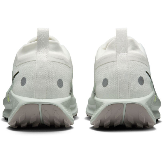 Nike Pegasus Trail 5 GTX Heren