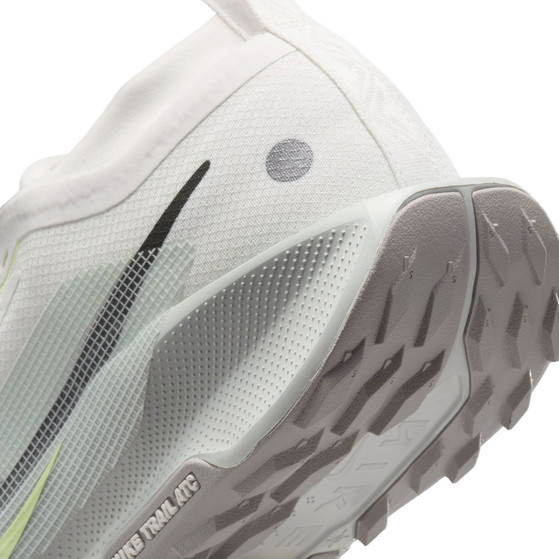 Nike Pegasus Trail 5 GTX Men