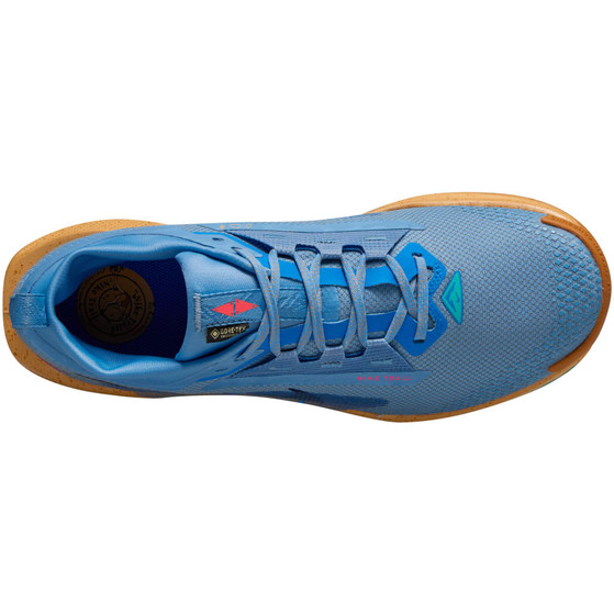 Nike Pegasus Trail 5 GTX Heren