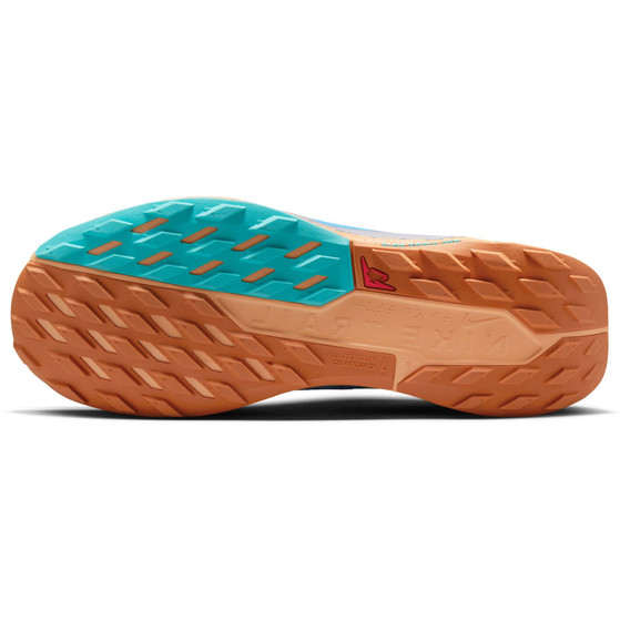 Nike Pegasus Trail 5 GTX Heren