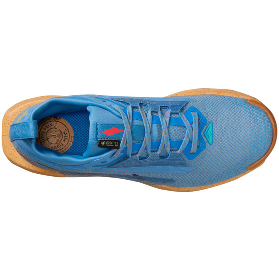 Nike Pegasus Trail 5 GTX Dames