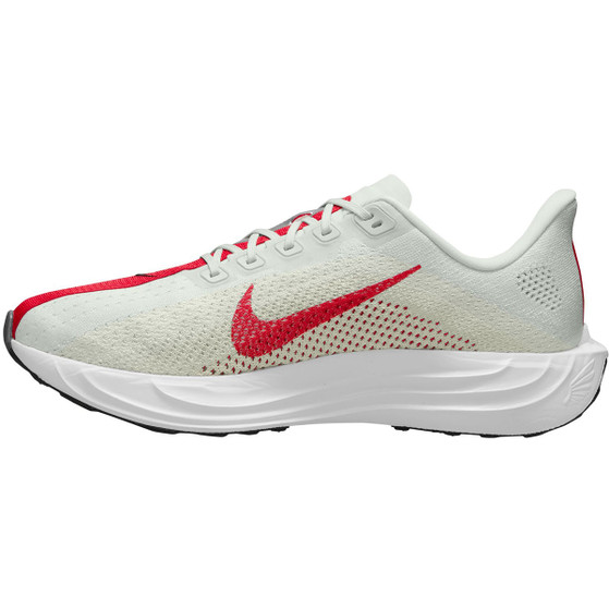 Nike Pegasus Plus Heren
