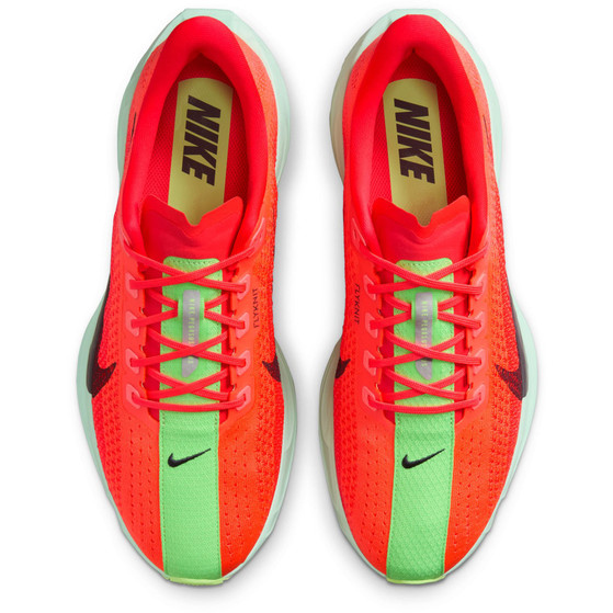 Nike Pegasus Plus Heren