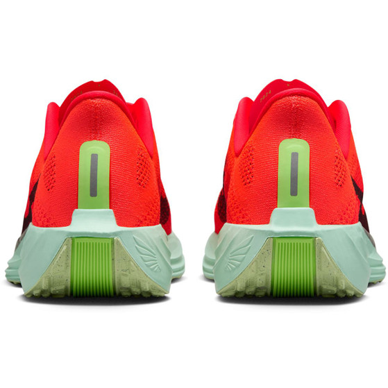 Nike Pegasus Plus Heren