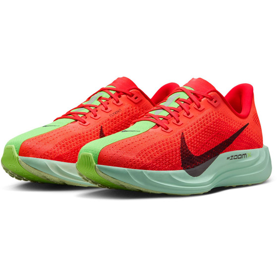 Nike Pegasus Plus Heren