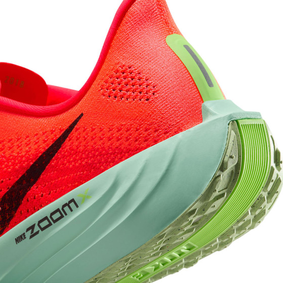 Nike Pegasus Plus Heren