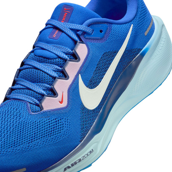 Nike Pegasus 41 CM Heren