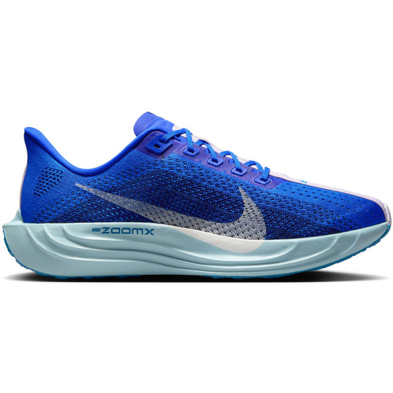 Nike Pegasus Plus CM Herren
