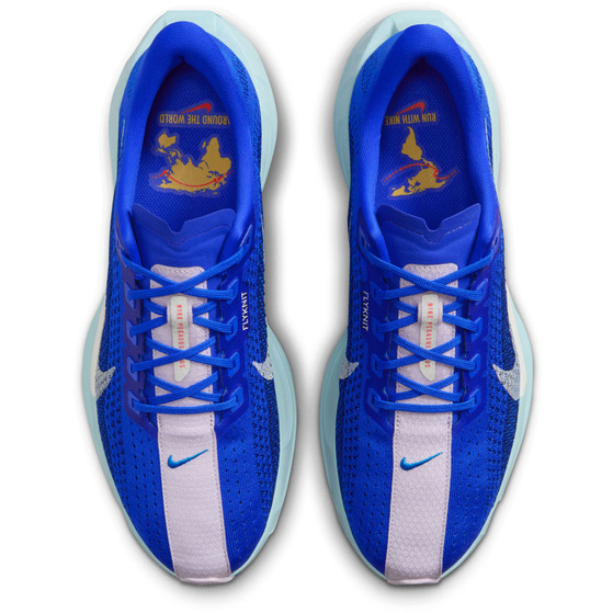 Nike Pegasus Plus CM Herren